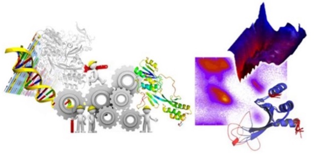 Molecular bioinformatics & Computational biophysical chemistry, FZJ, DE